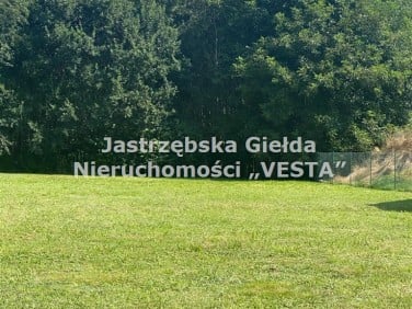 Działka usługowa Jastrzębie-Zdrój