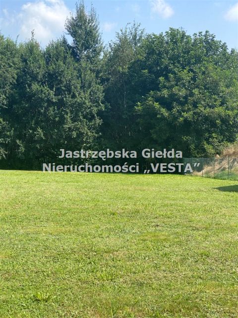Działka usługowa Jastrzębie-Zdrój