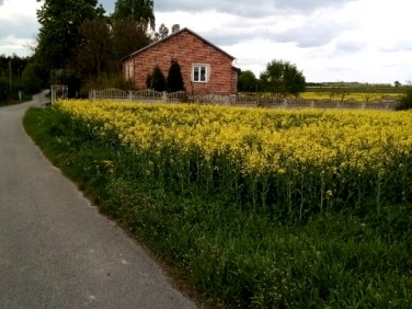 Dom Olechów Stary