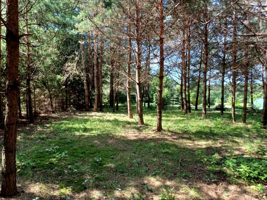 Działka Ojrzanów