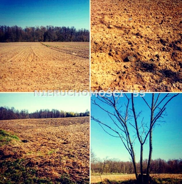 Pusta działka Mroga Dolna