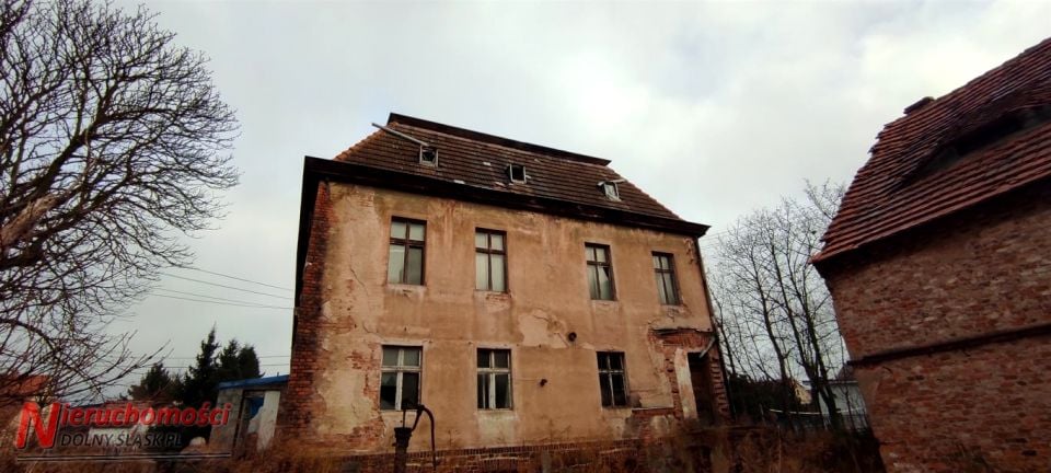 Dom Grzybiany