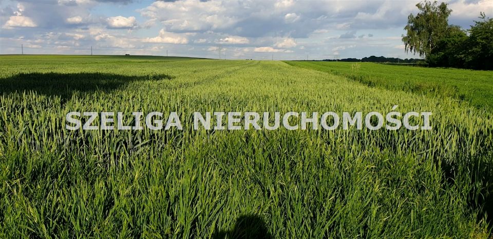 Działka budowlano-rolna Łubie
