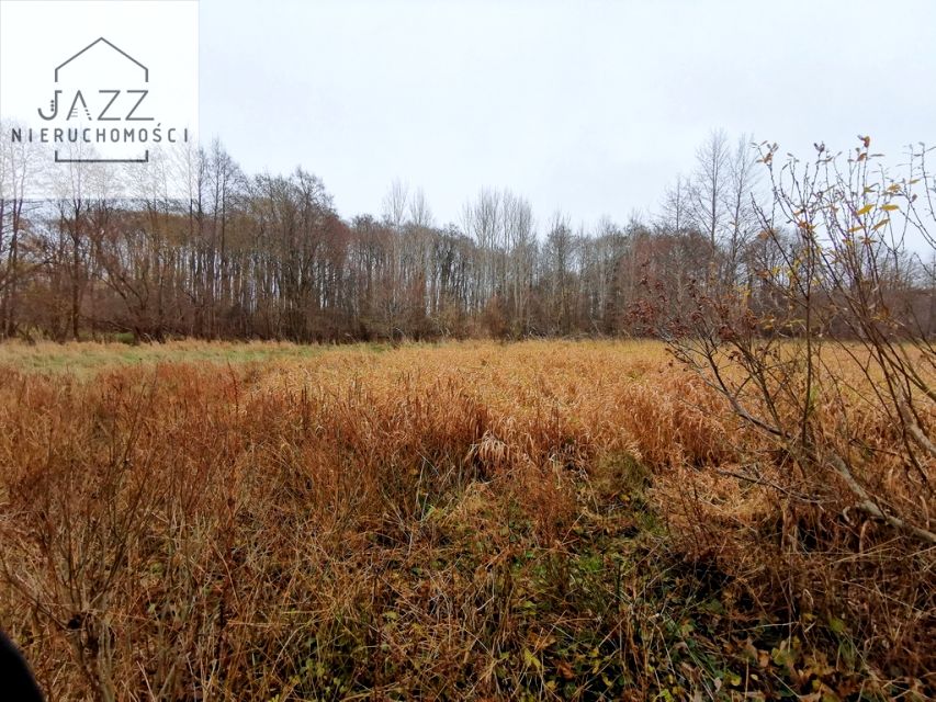 Działka rolna Sasino