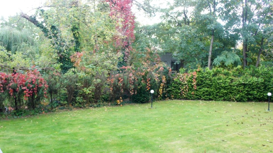 Dom Warszawa wynajem