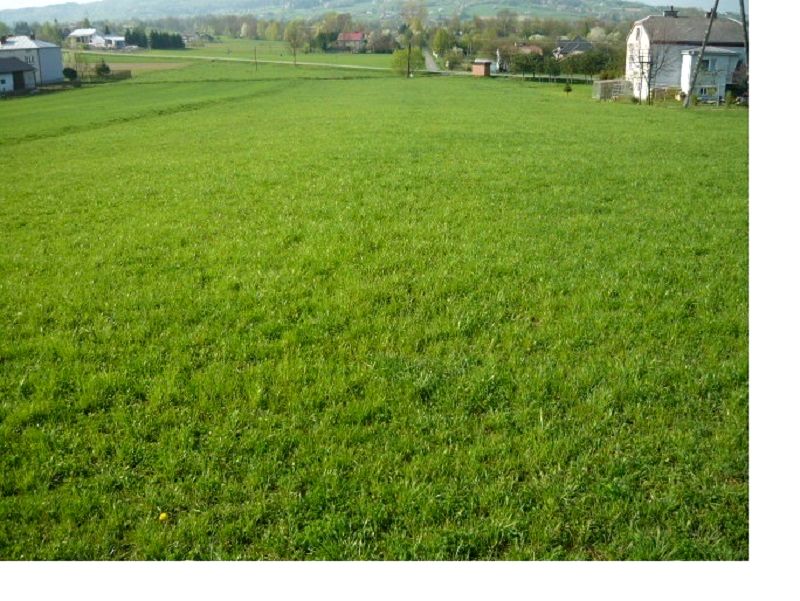 Działka budowlana Łużna