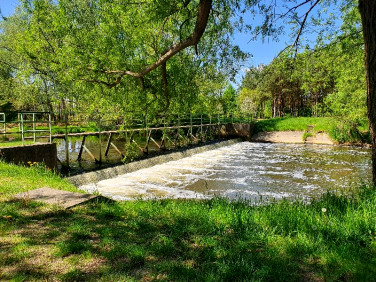 Działka Krasice