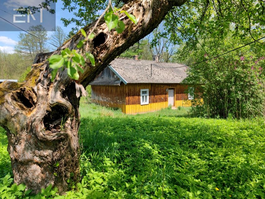 Dom Gogołów