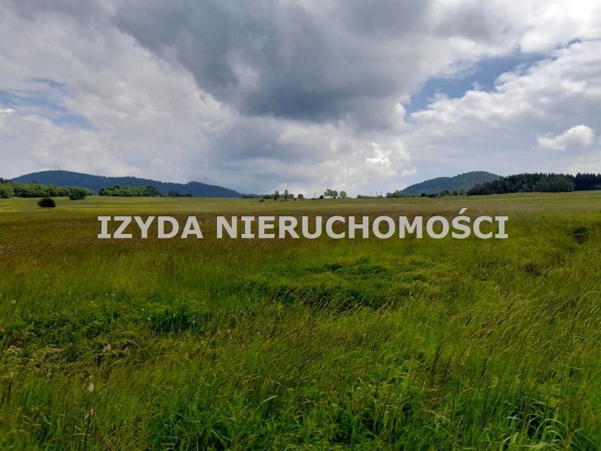 Zdjęcie 2