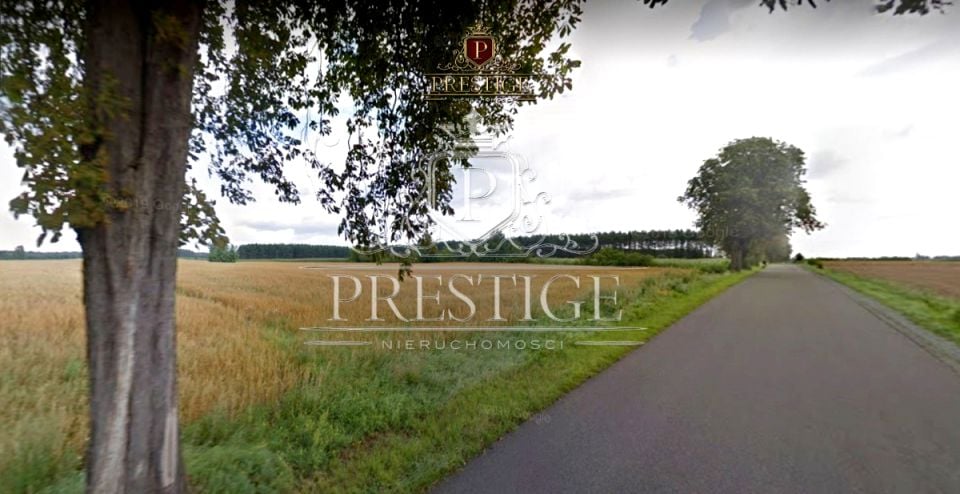 Działka rolna Nowy Jasiniec sprzedam