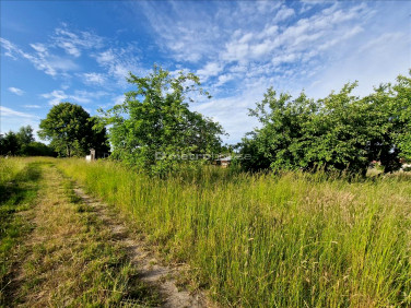 Działka inna Kobylnica