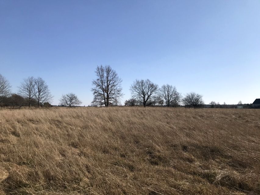 Działka siedliskowa Sarbsk
