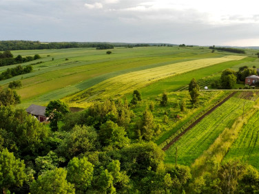 Działka siedliskowa Zaporze sprzedam