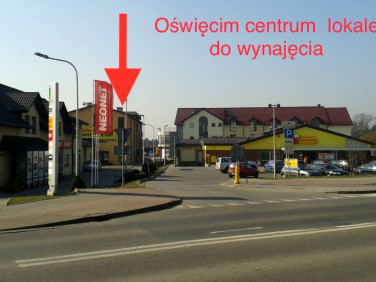 Lokal Oświęcim wynajem