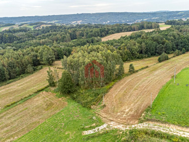 Działka Lubzina