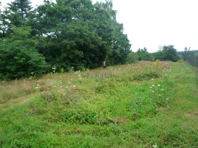 Działka Sierzchów
