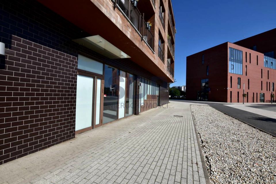 Lokal Siechnice