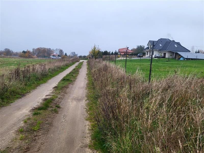 Zdjęcie 3