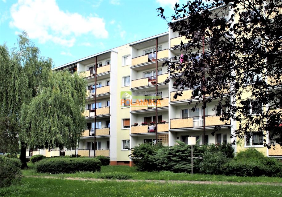 Mieszkanie Toruń wynajem