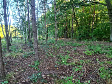 Działka budowlana Ojrzanów sprzedam