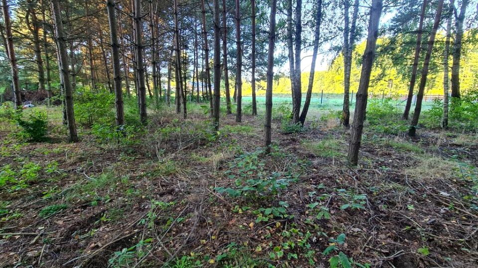 Działka budowlana sprzedam