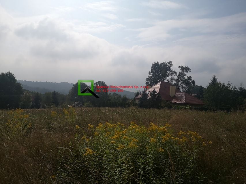 Zdjęcie 2