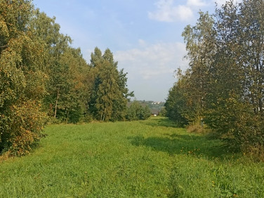 Działka rolna Korczyna