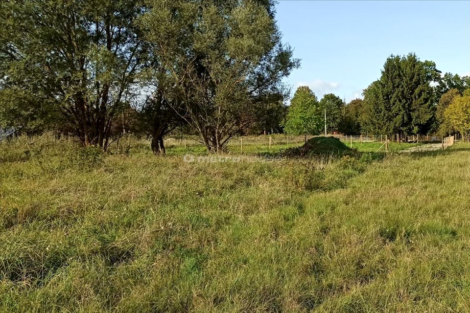 Działka Piława
