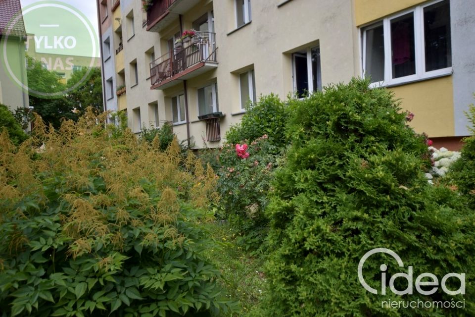 Mieszkanie Szczecin sprzedaż