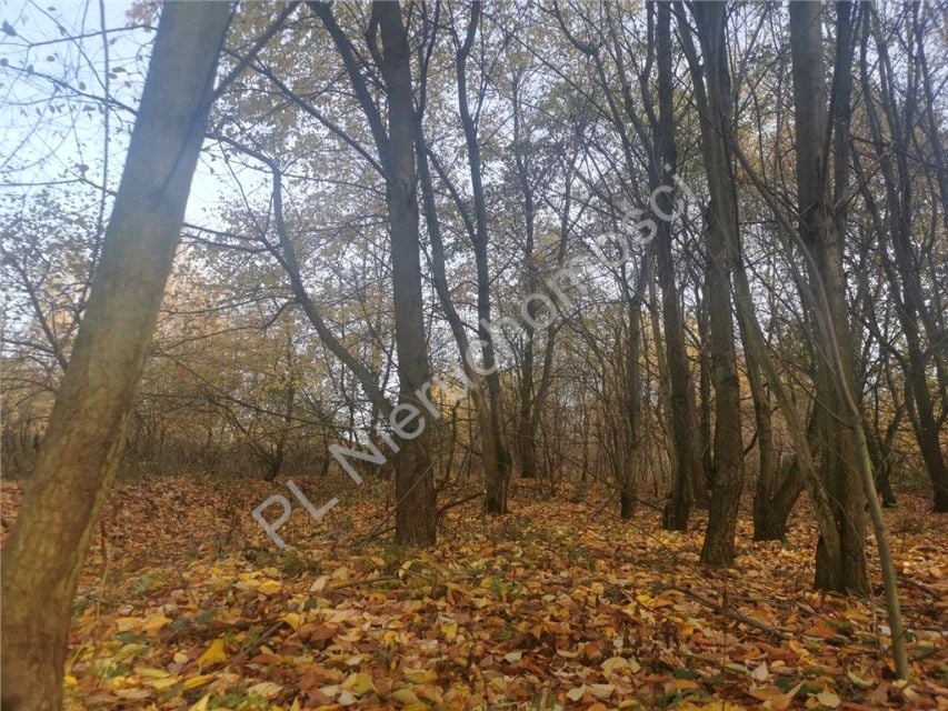 Działka budowlana Kady sprzedam