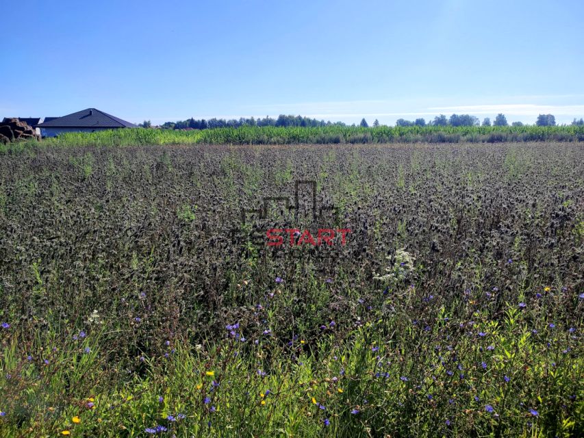 Działka Bronisławów