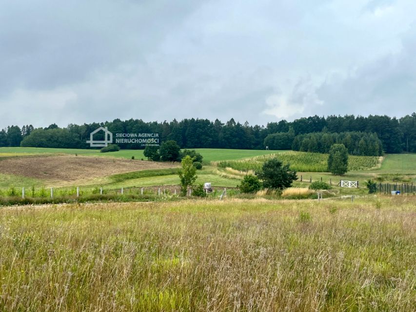 Działka Prokowo