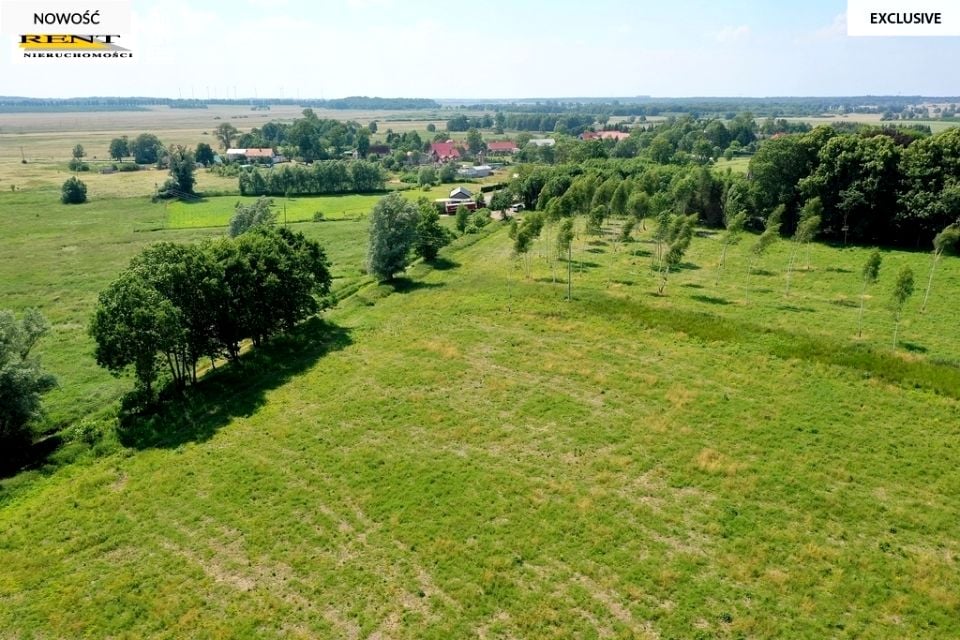 Zdjęcie 3