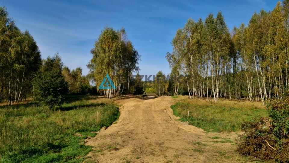 Zdjęcie 2