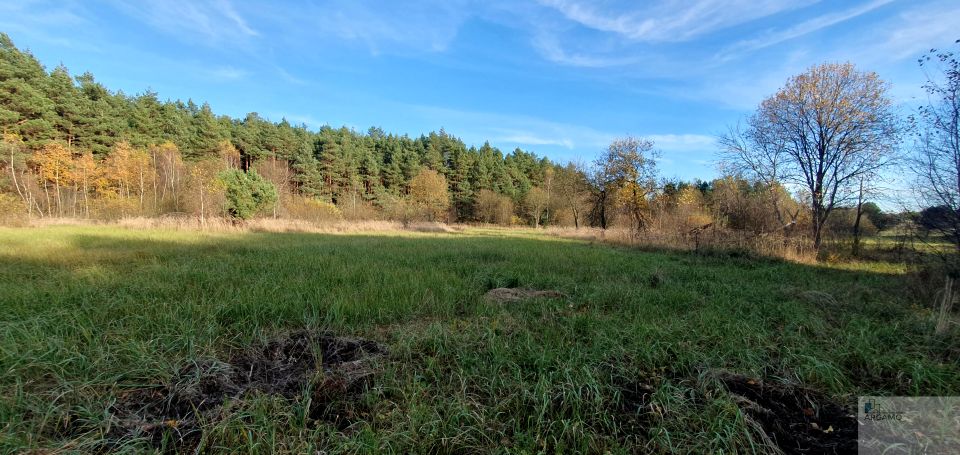 Działka rolna Zdów sprzedam