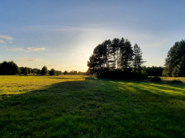 Działka budowlana Płaska sprzedam