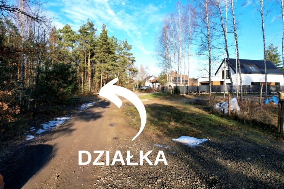 Zdjęcie 3