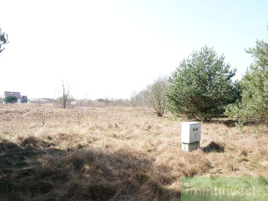 Działka Rurzyca