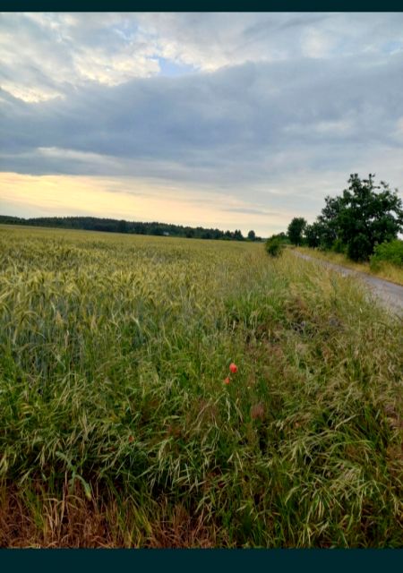 Działka budowlana Bratoszewice