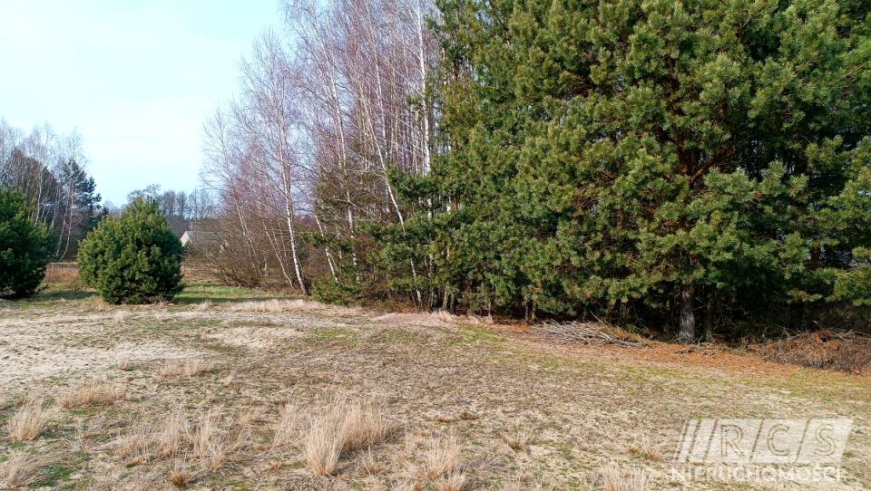 Działka Rybka
