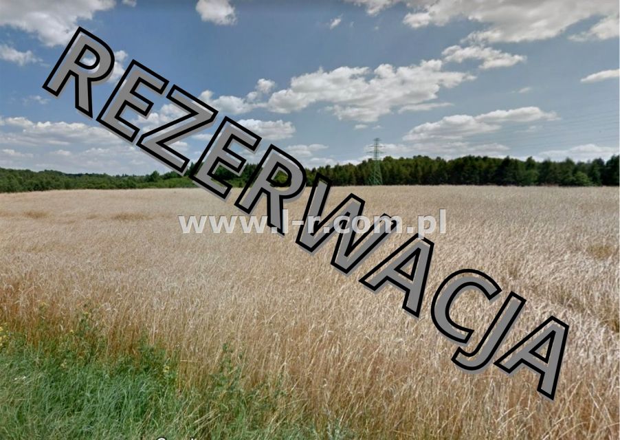 Działka rolna Racibórz