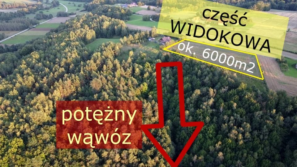 Zdjęcie 2