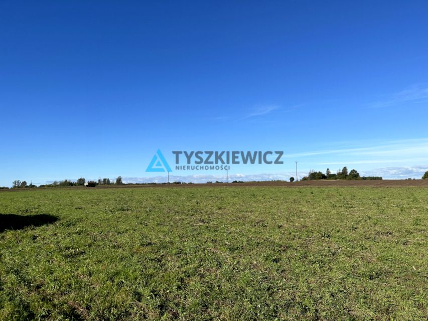 Zdjęcie 2