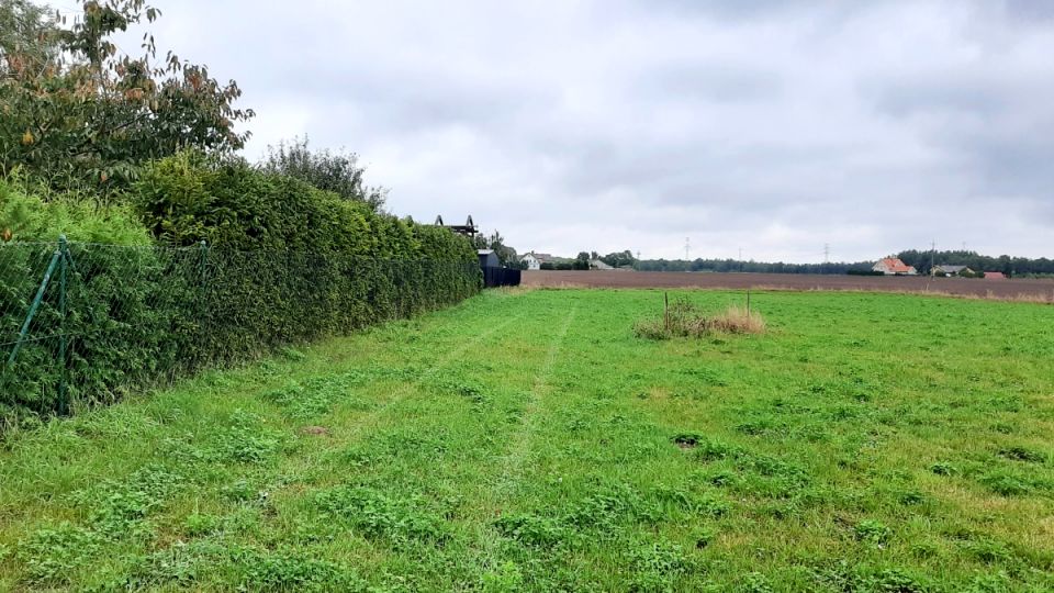 Działka budowlana Borcz