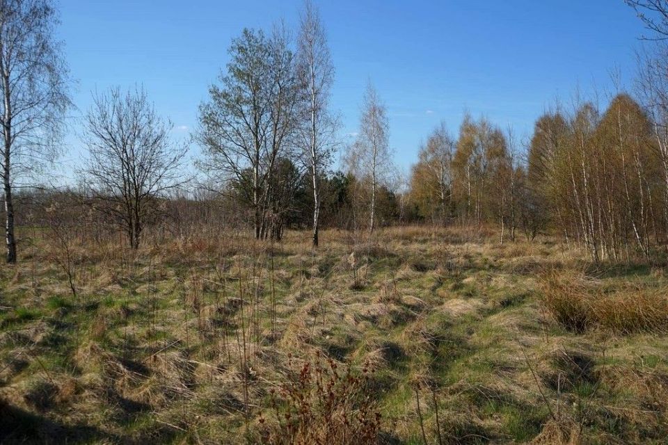 Zdjęcie 2