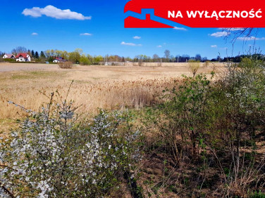 Działka Miłocin