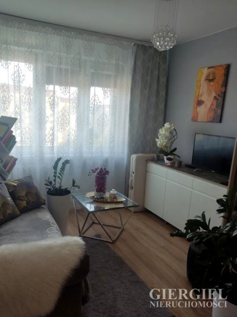 Mieszkanie Rzeszów