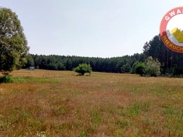 Działka budowlana przy lesie, ul. Leśna