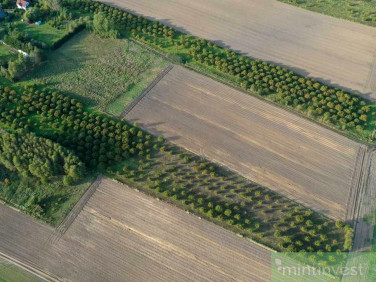 Działka Imno