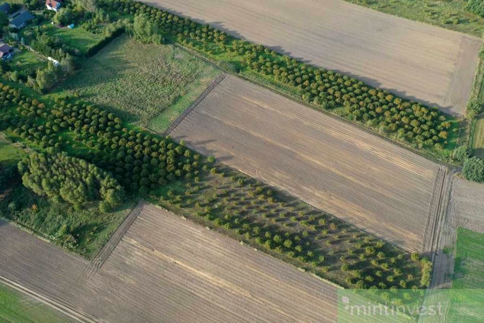 Działka Imno